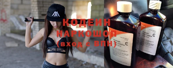 молекула духа Каменка
