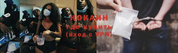 гашик Каменногорск
