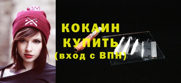 гашик Каменногорск