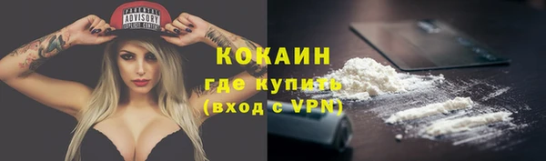 гашик Каменногорск
