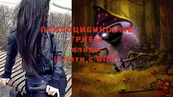 гашик Каменногорск