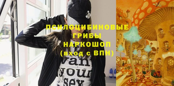 молекула духа Каменка