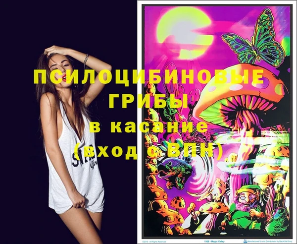 гашик Каменногорск