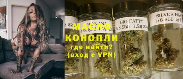 молекула духа Каменка