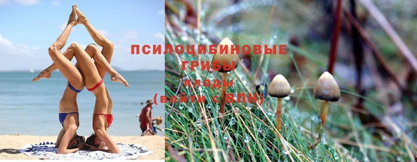 альфа пвп Каменск-Шахтинский