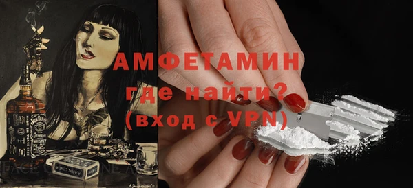молекула духа Каменка
