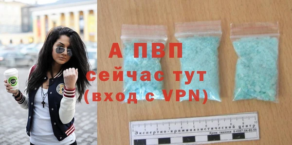 молекула духа Каменка