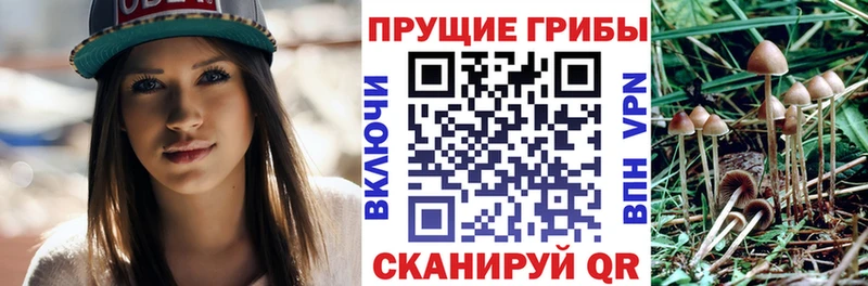Псилоцибиновые грибы мухоморы  Купить где  Зуевка 